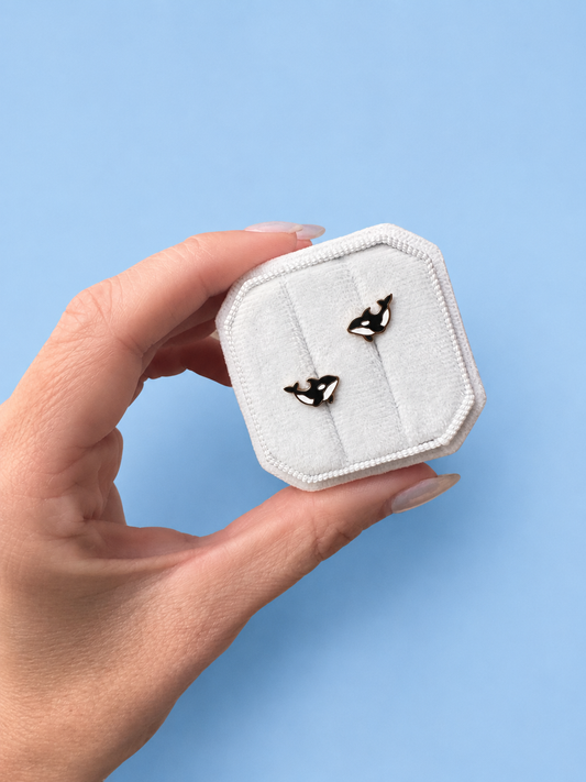 Hand holding a white jewelry box with orca whale earrings on a light blue background