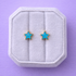 Sparkle Star Stud Earrings on a white jewelry box against a purple background
