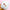 Small white box with red and orange maple leaf designs on a pink background